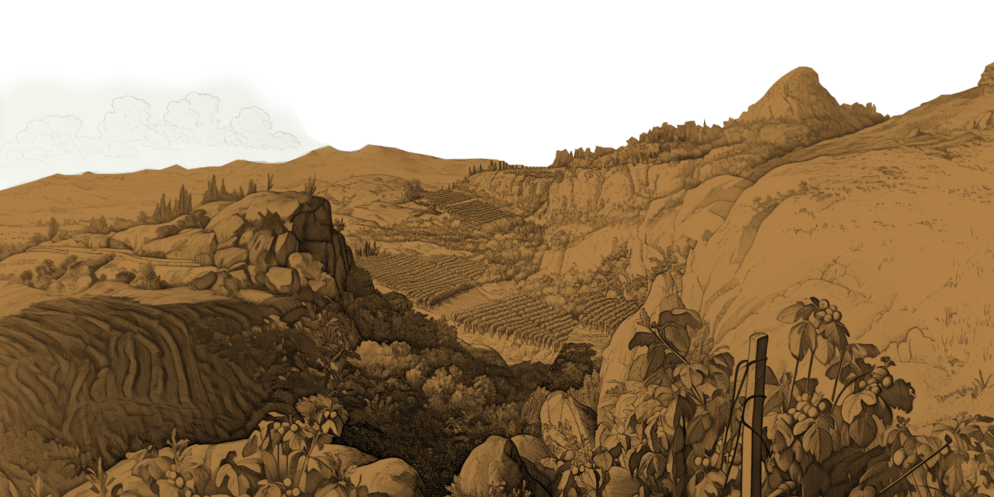 Paysage