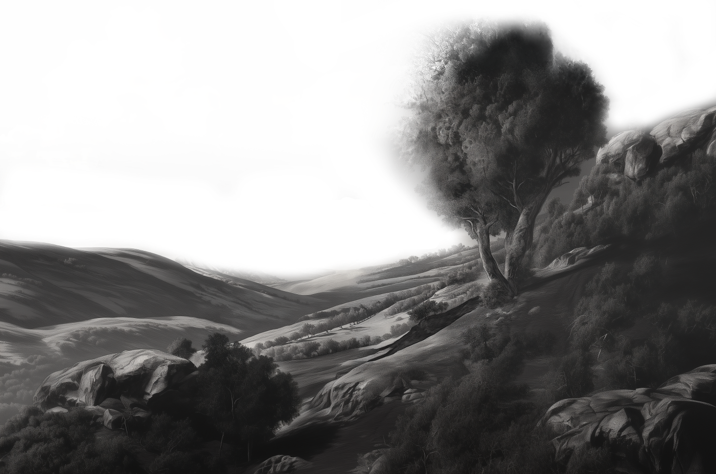 Paysage